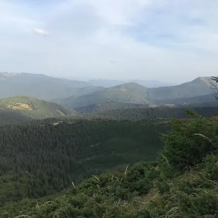 під явором וורוכטה